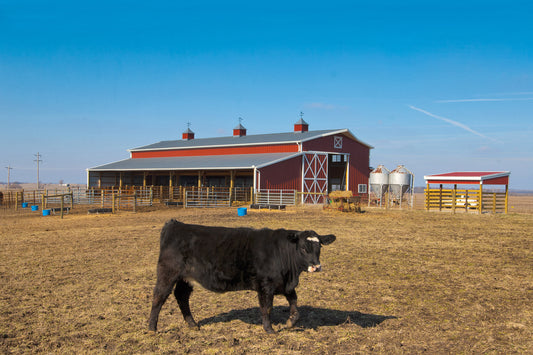 Wireless Farm Cameras